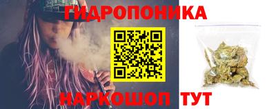 дживик Сланцы