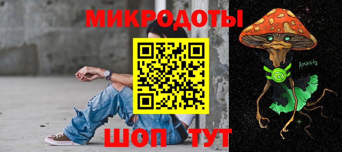 Галлюциногенные грибы Cubensis Омск