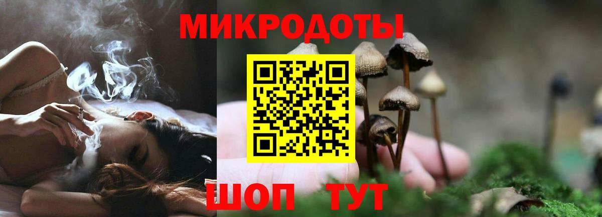 Галлюциногенные грибы Psilocybe  Псилоцибиновые грибы прущие грибы  Омск  Вход с VPN 